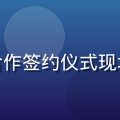 红桃网正版内容合作签约仪式现场，商务握手背景
